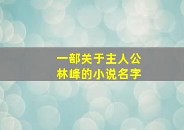 一部关于主人公林峰的小说名字