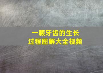 一颗牙齿的生长过程图解大全视频