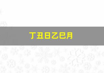 丁丑日乙巳月