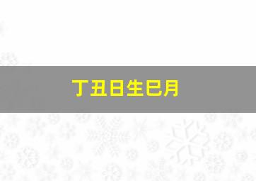 丁丑日生巳月