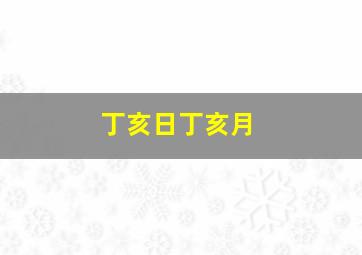 丁亥日丁亥月