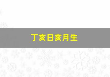 丁亥日亥月生