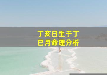 丁亥日生于丁巳月命理分析