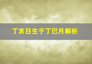 丁亥日生于丁巳月解析