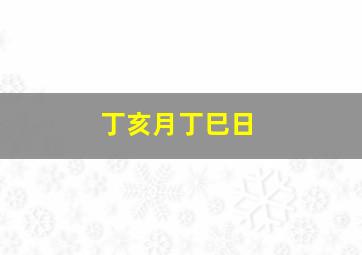 丁亥月丁巳日