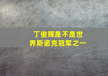 丁俊晖是不是世界斯诺克冠军之一