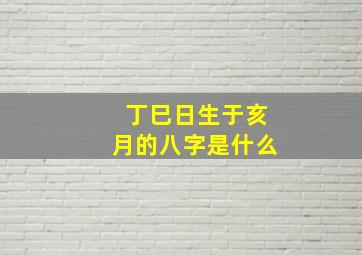 丁巳日生于亥月的八字是什么