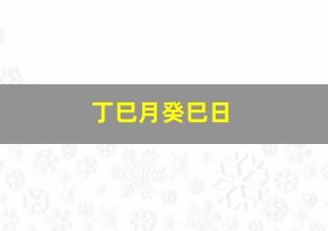 丁巳月癸巳日