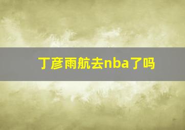 丁彦雨航去nba了吗