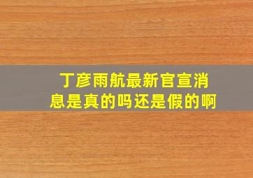 丁彦雨航最新官宣消息是真的吗还是假的啊