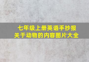 七年级上册英语手抄报关于动物的内容图片大全