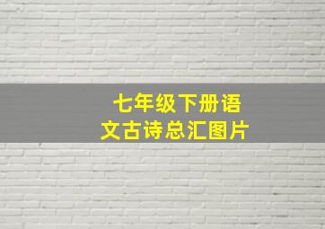 七年级下册语文古诗总汇图片