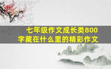 七年级作文成长类800字藏在什么里的精彩作文