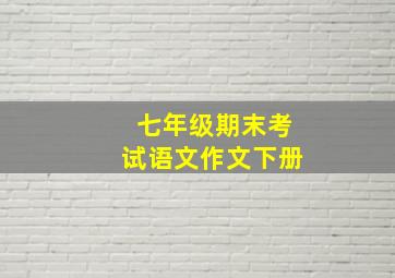 七年级期末考试语文作文下册