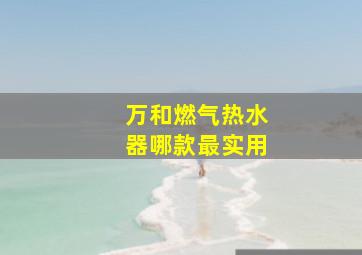 万和燃气热水器哪款最实用