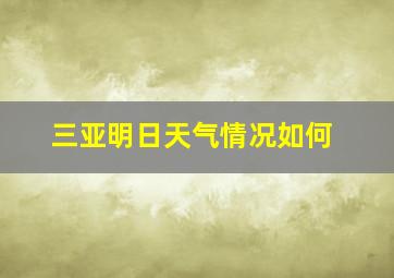 三亚明日天气情况如何