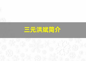 三元洪斌简介