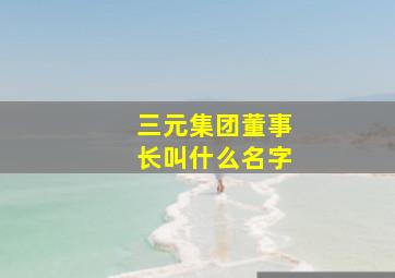 三元集团董事长叫什么名字