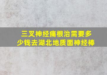 三叉神经痛根治需要多少钱去湖北地质面神经棒