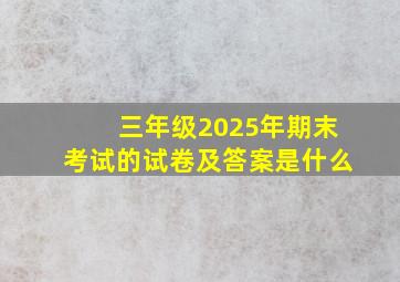 三年级2025年期末考试的试卷及答案是什么