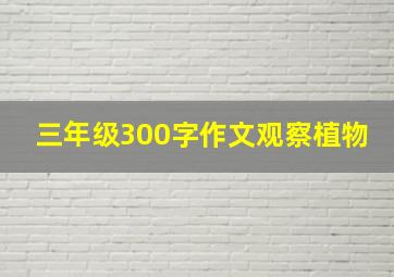 三年级300字作文观察植物