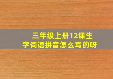 三年级上册12课生字词语拼音怎么写的呀