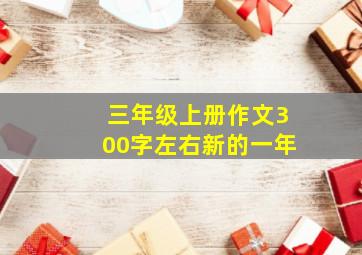 三年级上册作文300字左右新的一年