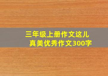 三年级上册作文这儿真美优秀作文300字