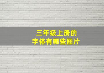 三年级上册的字体有哪些图片