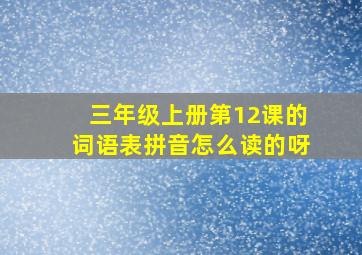 三年级上册第12课的词语表拼音怎么读的呀