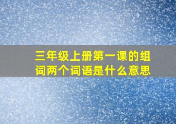 三年级上册第一课的组词两个词语是什么意思