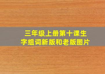 三年级上册第十课生字组词新版和老版图片