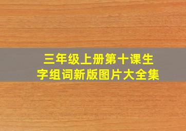 三年级上册第十课生字组词新版图片大全集