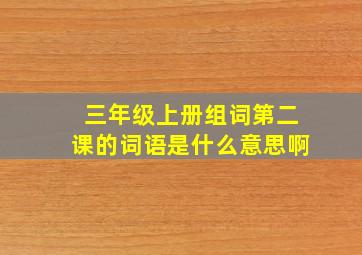 三年级上册组词第二课的词语是什么意思啊