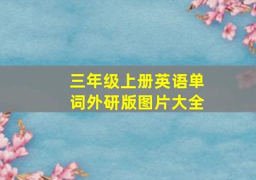 三年级上册英语单词外研版图片大全