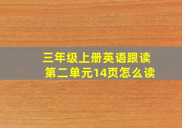 三年级上册英语跟读第二单元14页怎么读