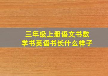 三年级上册语文书数学书英语书长什么样子