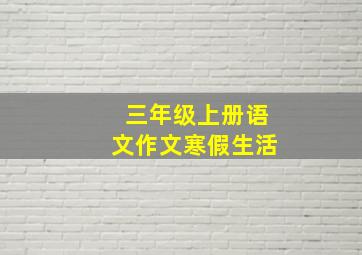 三年级上册语文作文寒假生活