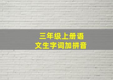 三年级上册语文生字词加拼音