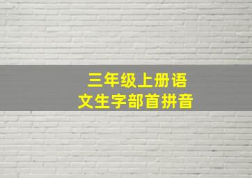 三年级上册语文生字部首拼音