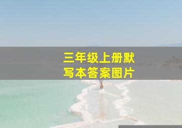 三年级上册默写本答案图片