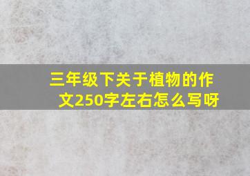 三年级下关于植物的作文250字左右怎么写呀