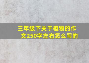 三年级下关于植物的作文250字左右怎么写的