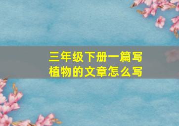 三年级下册一篇写植物的文章怎么写