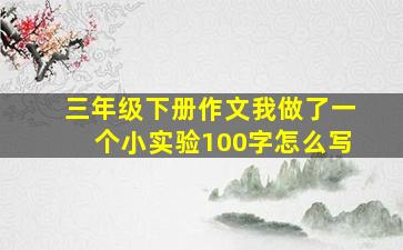 三年级下册作文我做了一个小实验100字怎么写