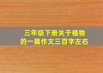 三年级下册关于植物的一篇作文三百字左右