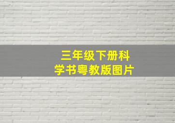 三年级下册科学书粤教版图片