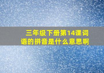 三年级下册第14课词语的拼音是什么意思啊