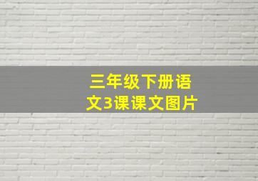 三年级下册语文3课课文图片