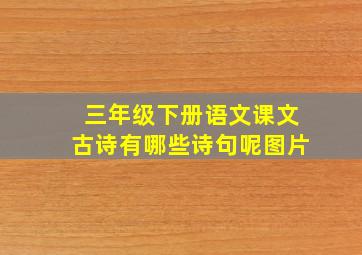 三年级下册语文课文古诗有哪些诗句呢图片